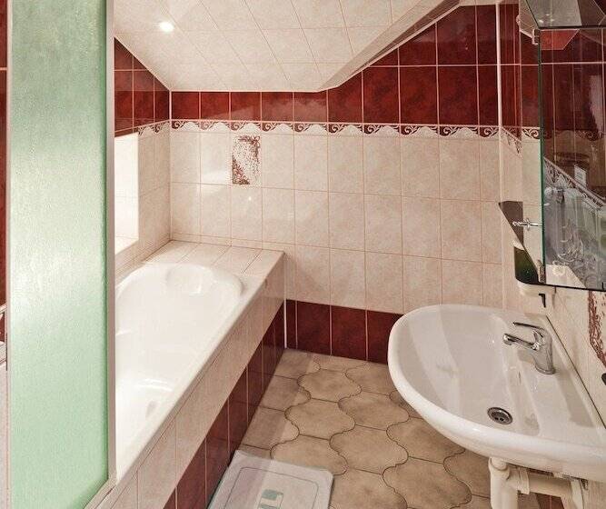 آپارتمان 1 خوابه, Pension Fontana Svitavy