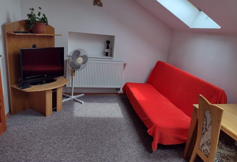 Standard Single Room, Pension Fontana Svitavy