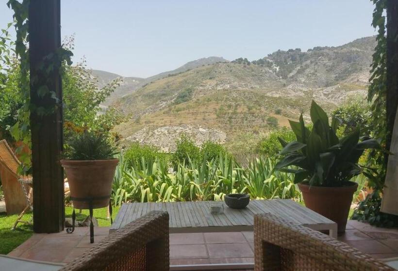 اتاق استاندارد با تراس, La Almunia Del Valle