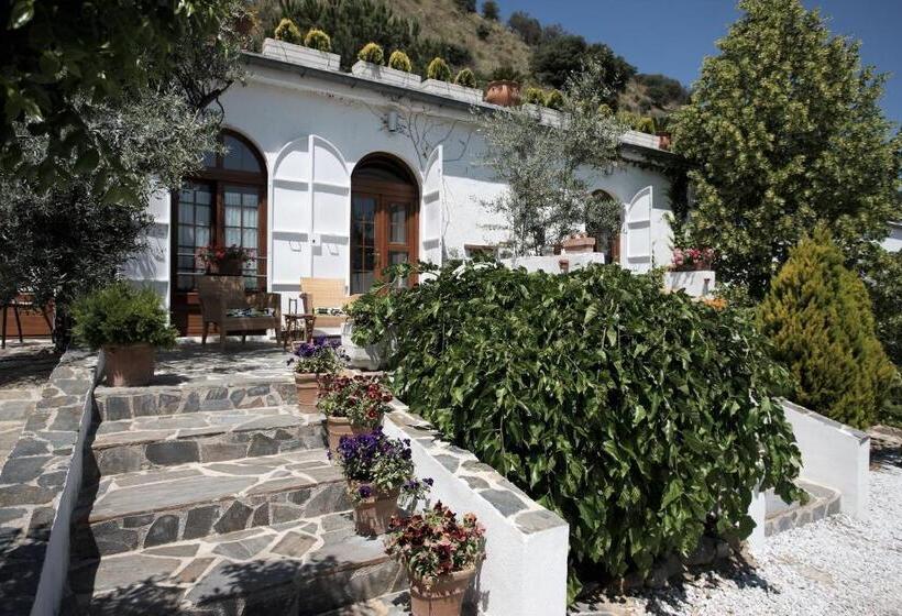 اتاق استاندارد با تراس, La Almunia Del Valle