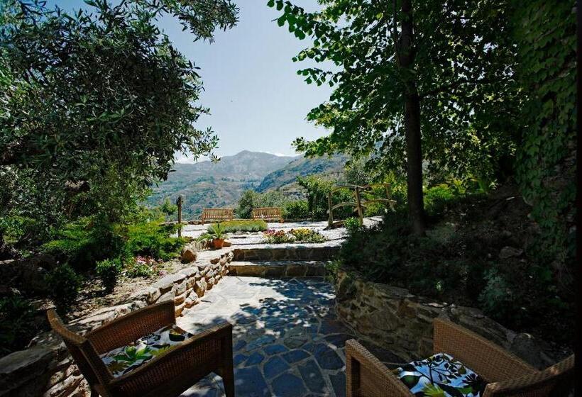 اتاق استاندارد با تراس, La Almunia Del Valle