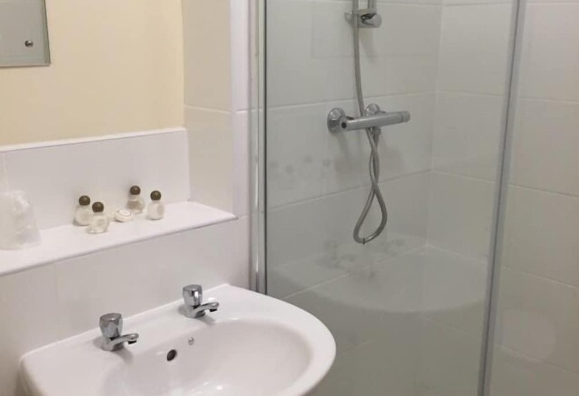 اتاق استاندارد یک نفره, Strawberry Bank Hotel, Nec