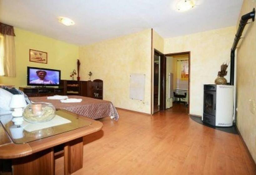 آپارتمان 1 خوابه با تراس, Apartments And Rooms With Parking Space Porec   6917