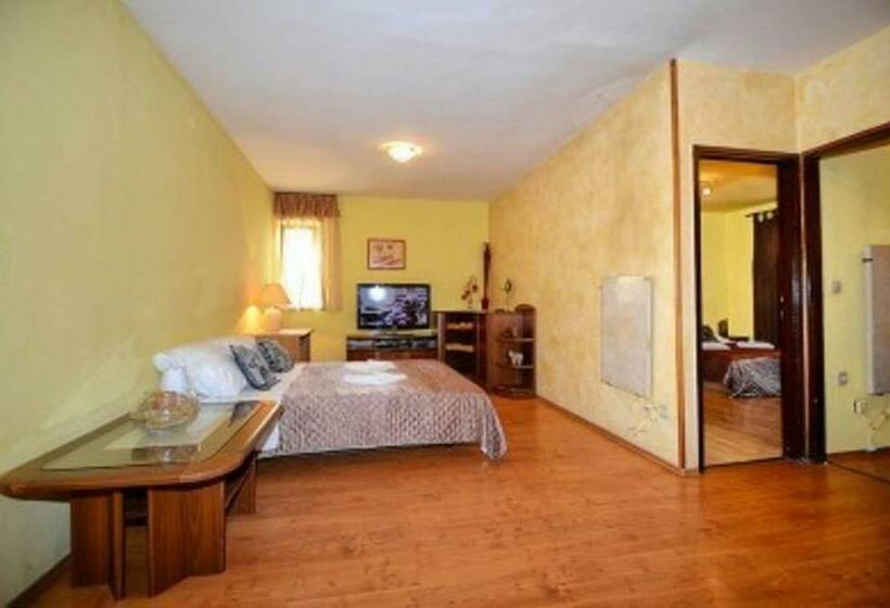 آپارتمان 1 خوابه با تراس, Apartments And Rooms With Parking Space Porec   6917