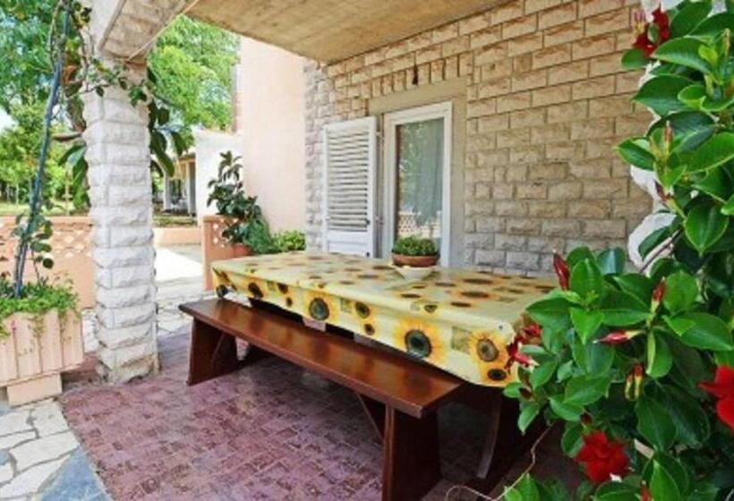 آپارتمان 1 خوابه با تراس, Apartments And Rooms With Parking Space Porec   6917