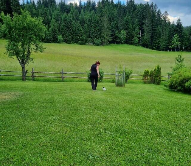 اتاق سوپریور, Boutique Hotel Alpenhof