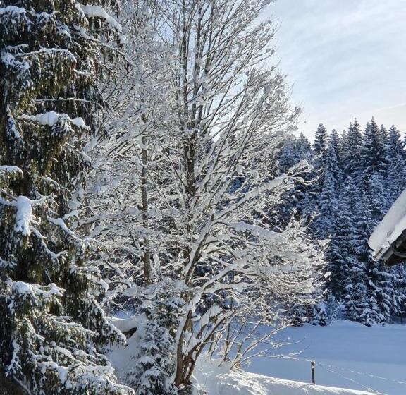 اتاق لوکس چهار تخته, Boutique Hotel Alpenhof