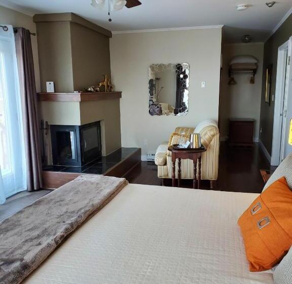 اتاق سوپریور با تخت بزرگ, Auberge Fleurs De Lune