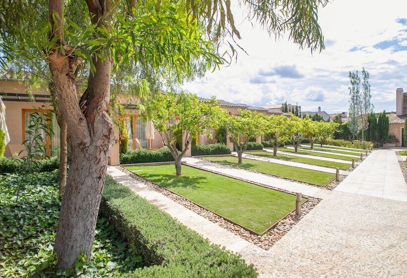 Standard Room with Terrace, Ca'n Bonico