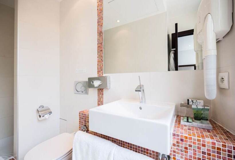 اتاق کلاسیک یک تخته, Park Lane Paris