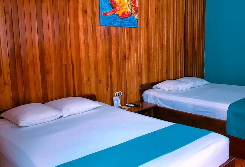 اتاق استاندارد پلاس, San Bosco Inn