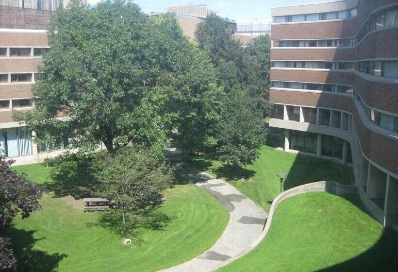 اتاق استاندارد یک تخته با سرویس بهداشتی مشترک, University Of Toronto   New College Residence   Wilson Hall Residence