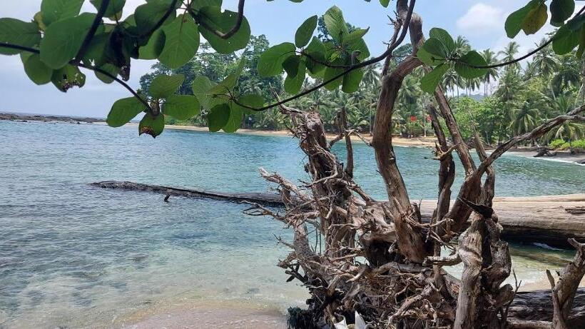 اتاق استاندارد با تخت بزرگ, Adhvasaha Beach Spa Resort
