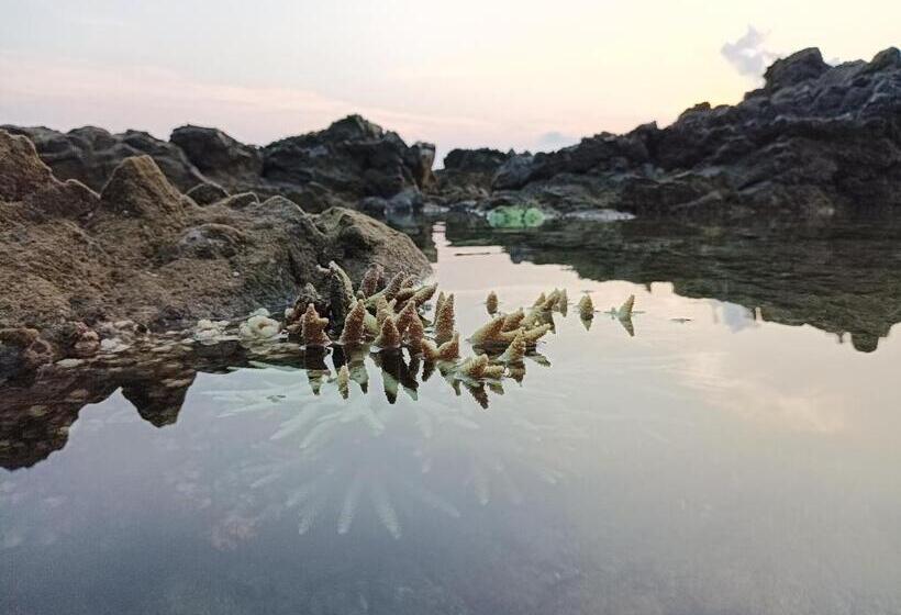 سوییت سوپریور با چشم‌انداز دریا, Adhvasaha Beach Spa Resort