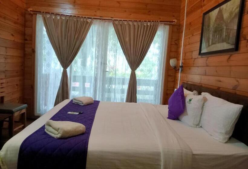 اتاق استاندارد با تخت بزرگ, Adhvasaha Beach Spa Resort