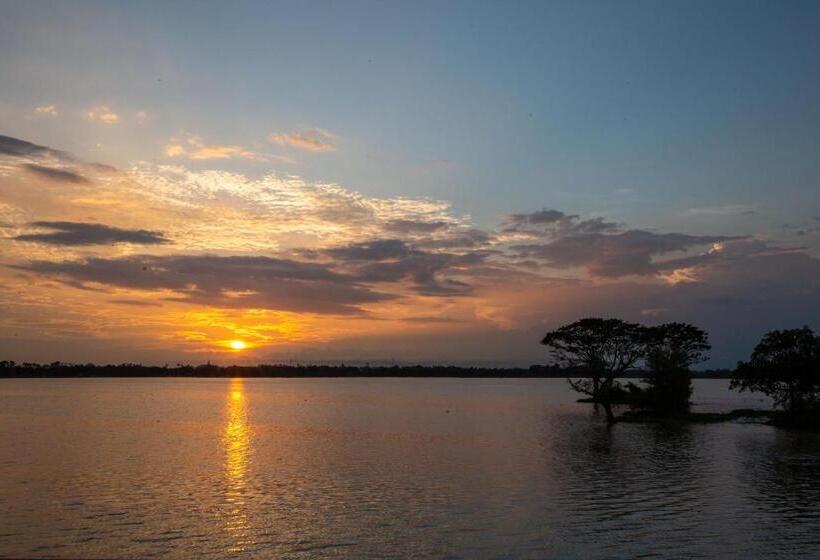 اتاق استاندارد با تخت بزرگ, Olu Villa Resort