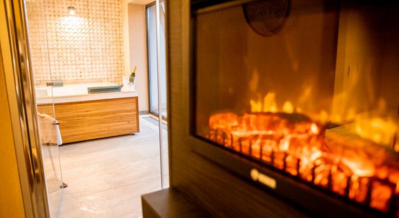 اتاق اجرایی, Elexus Apartments Poiana Brasov