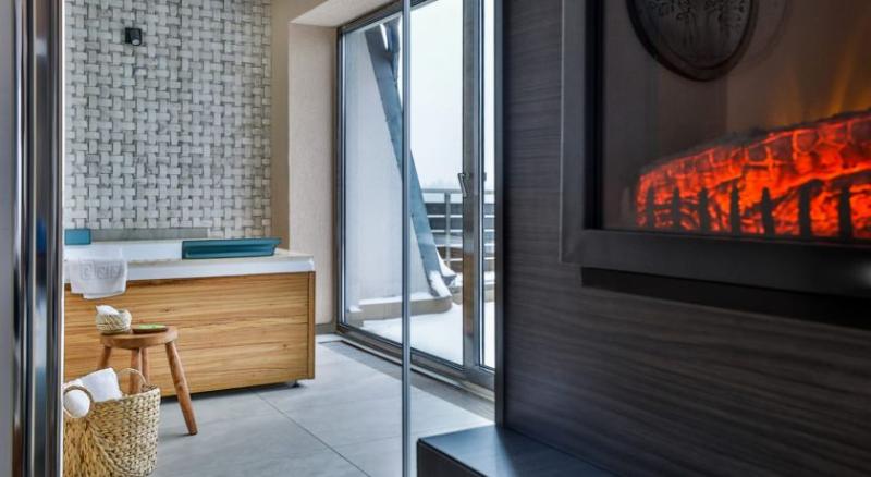 اتاق اجرایی, Elexus Apartments Poiana Brasov