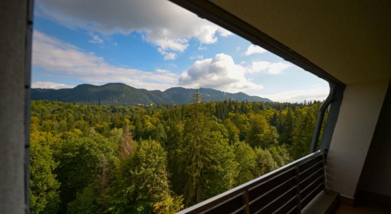 سوئیت جونیور با چشم‌انداز کوهستان, Elexus Apartments Poiana Brasov