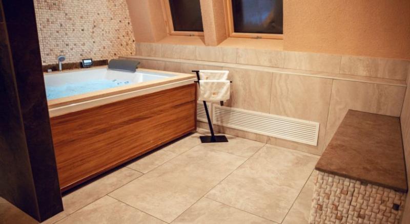 Deluxe Room Mountain View, Elexus Apartments Poiana Brasov