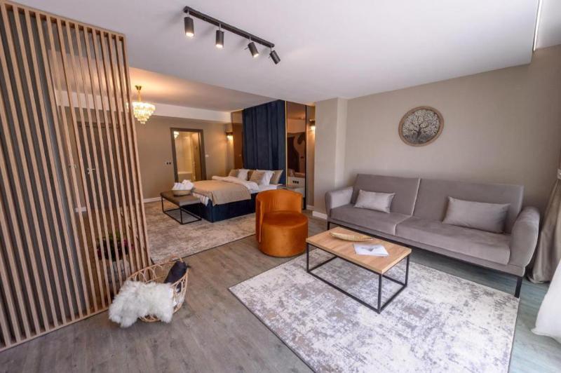سوییت جونیور لوکس, Elexus Apartments Poiana Brasov