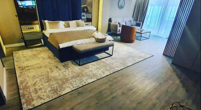 سوییت جونیور لوکس, Elexus Apartments Poiana Brasov
