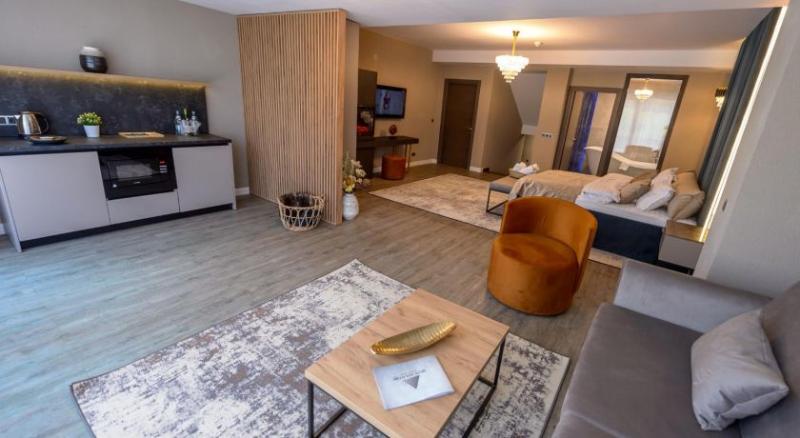 سوییت جونیور لوکس, Elexus Apartments Poiana Brasov