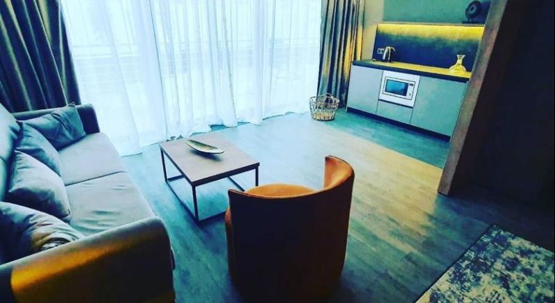سوییت جونیور لوکس, Elexus Apartments Poiana Brasov