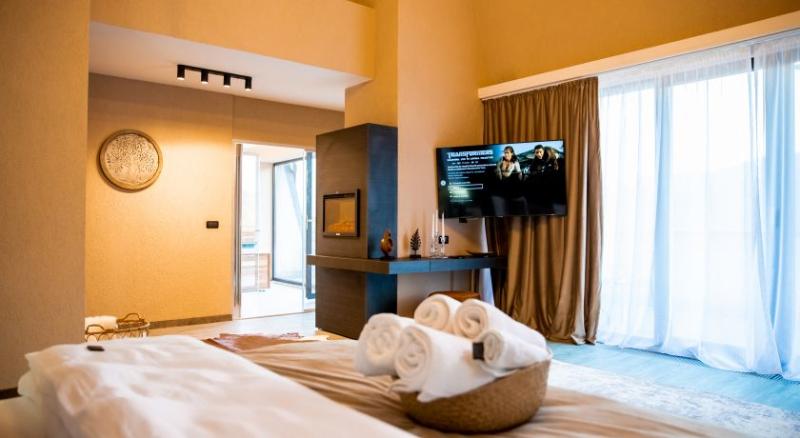 اتاق اجرایی, Elexus Apartments Poiana Brasov