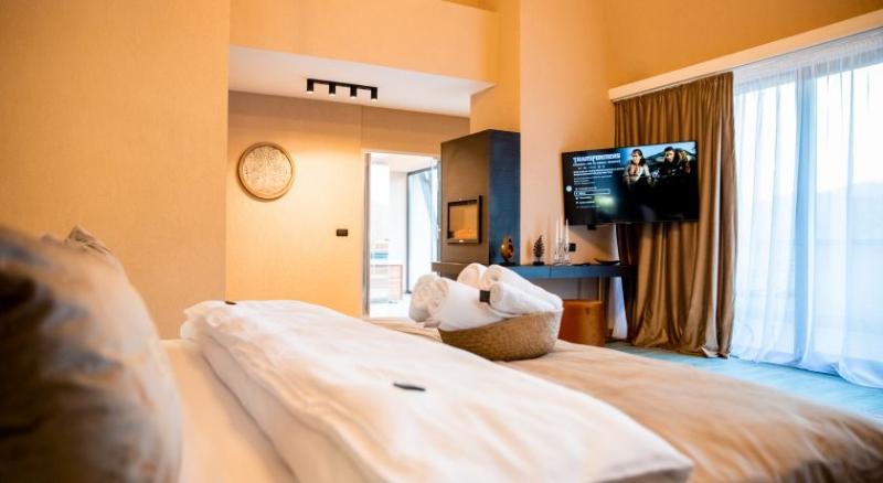 اتاق اجرایی, Elexus Apartments Poiana Brasov