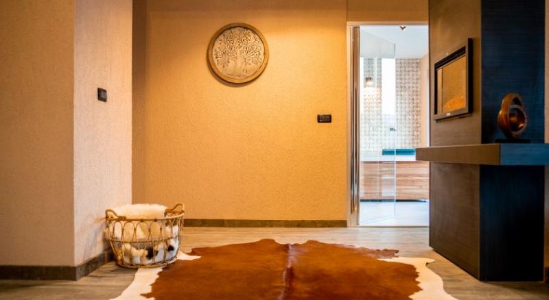 اتاق اجرایی, Elexus Apartments Poiana Brasov