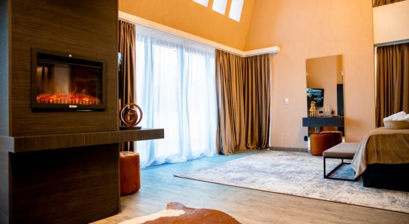 اتاق اجرایی, Elexus Apartments Poiana Brasov