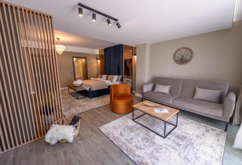 سوییت جونیور لوکس, Elexus Apartments Poiana Brasov