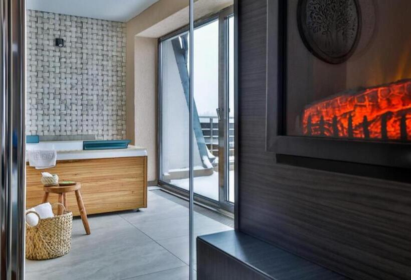 اتاق اجرایی, Elexus Apartments Poiana Brasov