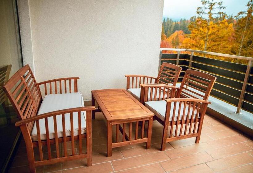 1 Bedroom Apartment Mountain View, Elexus Apartments Poiana Brasov