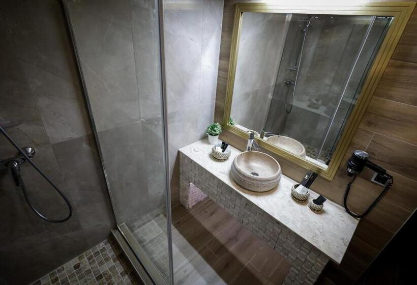 اتاق استاندارد با تخت دوبل, Elexus Apartments Poiana Brasov
