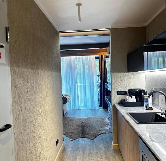 کلبه ییلاقی, Elexus Apartments Poiana Brasov