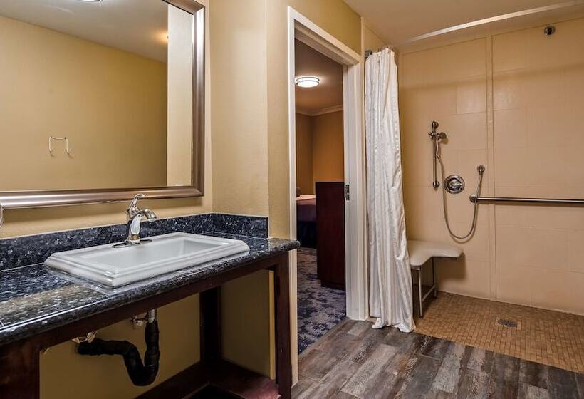 Suite Adapted for people with reduced mobility, Best Western Plus Avita Suites