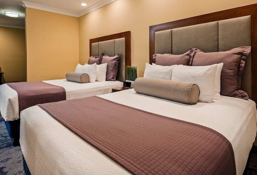 سوییت, Best Western Plus Avita Suites