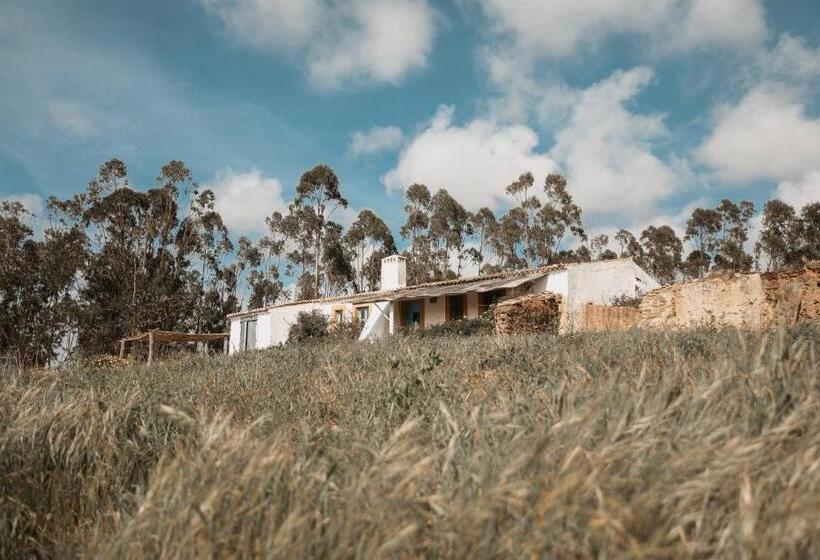 سوییت خانوادگی, Muxima   Aljezur