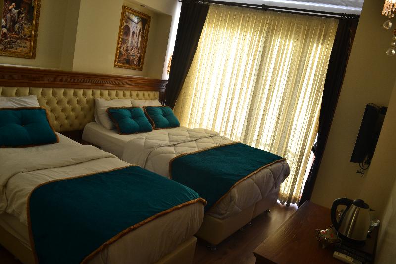استودیوی استاندارد, Séjours & Affaires Rennes Villa Camilla