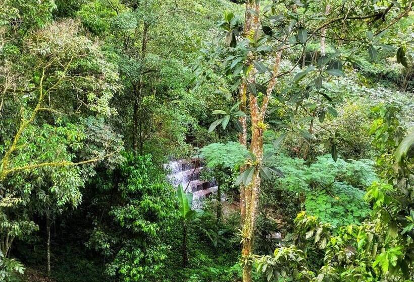 اتاق خانوادگی, La Nube Eco