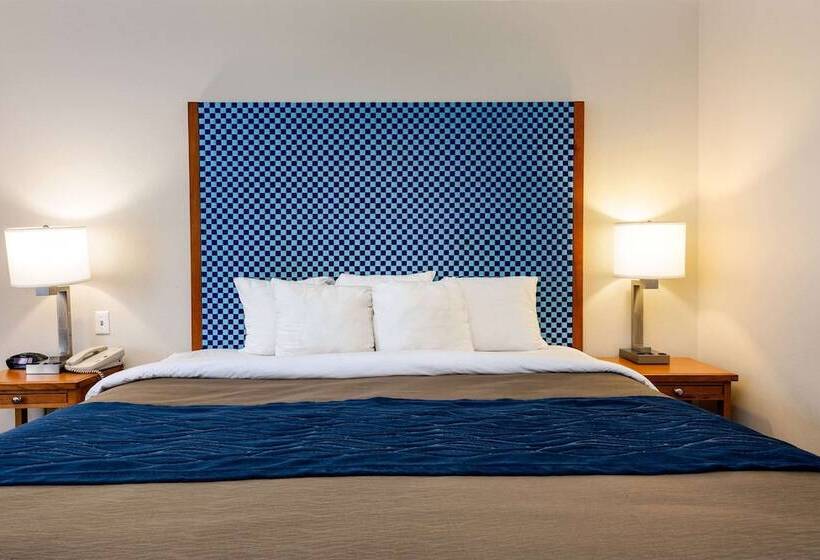 Standard Room Double Bed, Comfort Inn & Suites Savannah Airport
