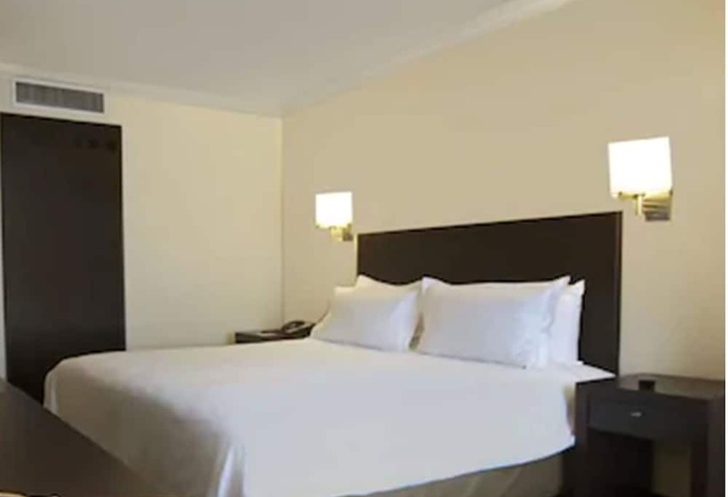 سوئیت جونیور با تخت بزرگ, Fiesta Inn Toluca Centro
