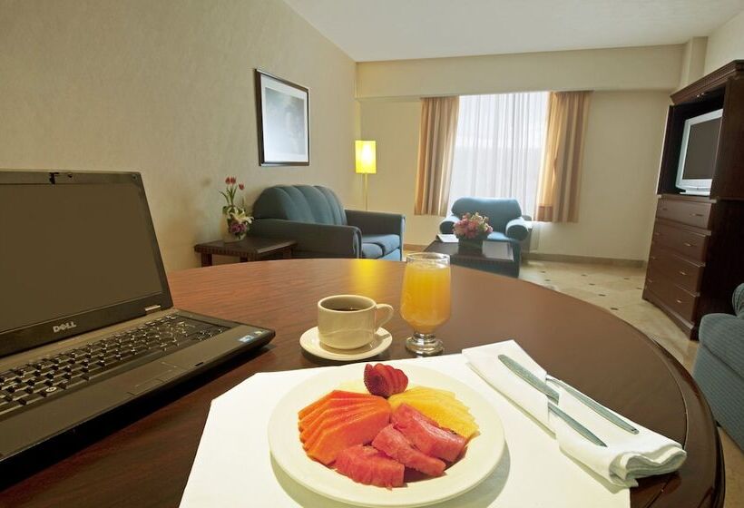 Junior Suite met Kingsize Bed, Fiesta Inn Toluca Centro