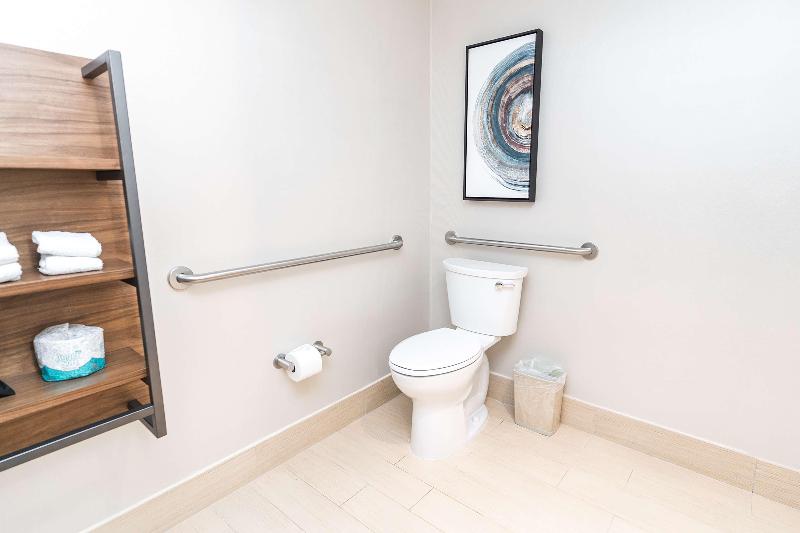 اتاق استاندارد با تخت بزرگ, Hilton Garden Inn Fairfax