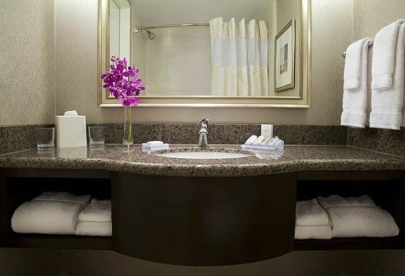 اتاق استاندارد با تخت دوبل برای معلولان, Revery Toronto Downtown, Curio Collection By Hilton