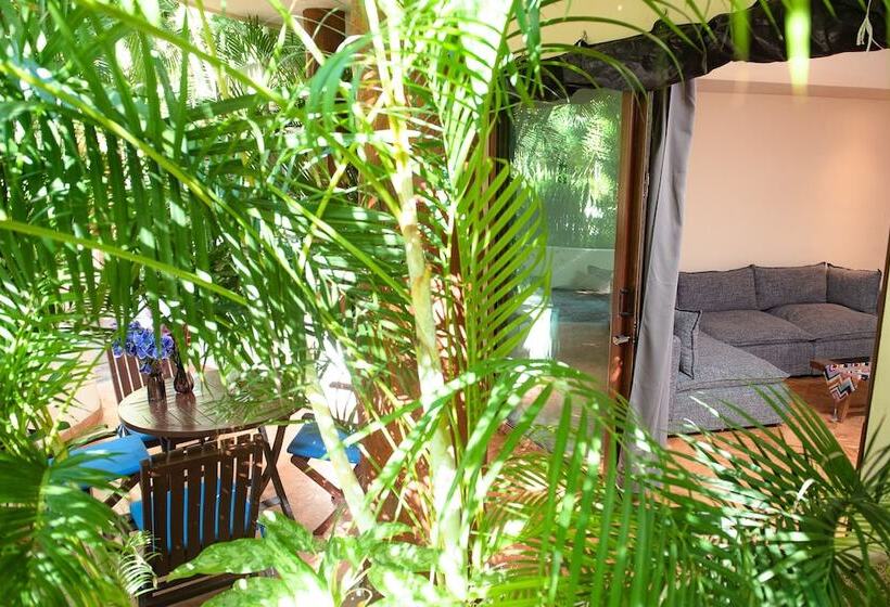 آپارتمان 1 خوابه, Porto Playa Condo Hotel And Beach Club