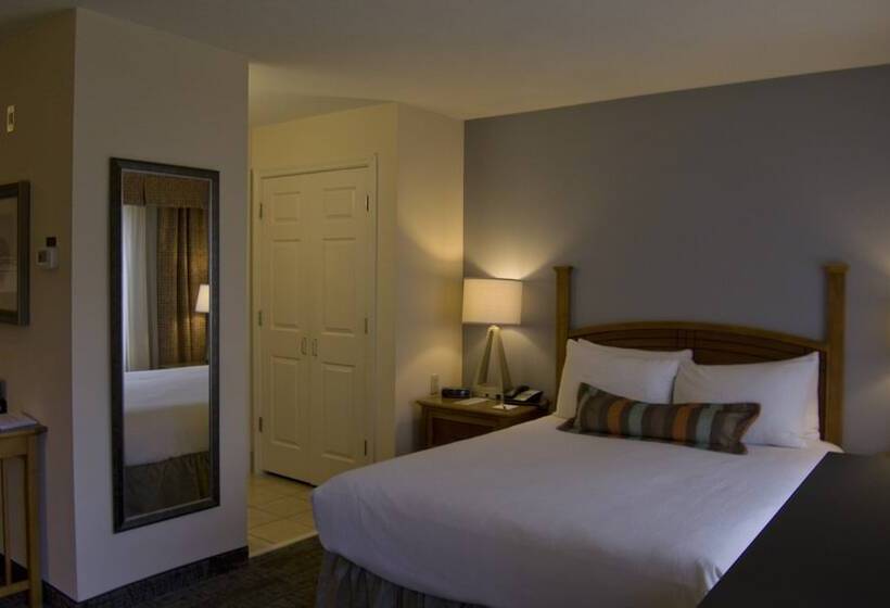 סטודיו סטנדרט מיטה זוגית, Staybridge Suites Houston West   Energy Corridor, An Ihg