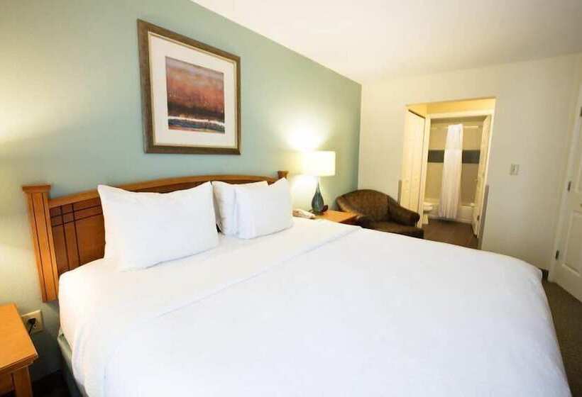 סוויטה מותאמת לאדם עם מוגבלויות, Staybridge Suites Houston West   Energy Corridor, An Ihg